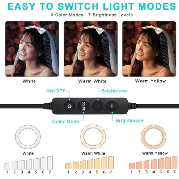 Ring Light with Desktop Stand & Cell Phone Holder - 12" LED - Picture 4 of 8